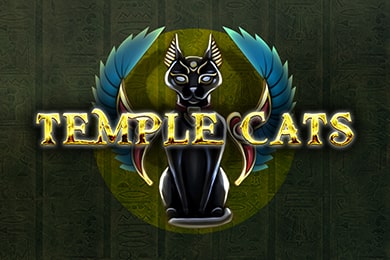 Слот Templecats Джаз Казино